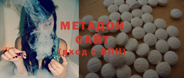 прущие грибы Бородино