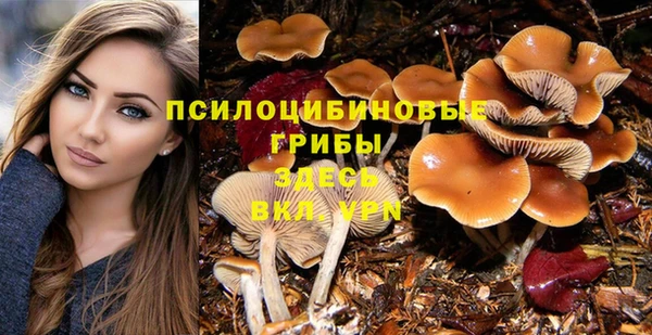 марки lsd Вяземский