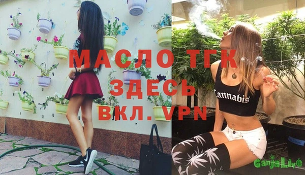 мяу мяу мука Вязьма
