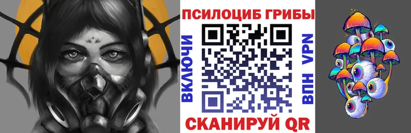Галлюциногенные грибы Cubensis Звенигово